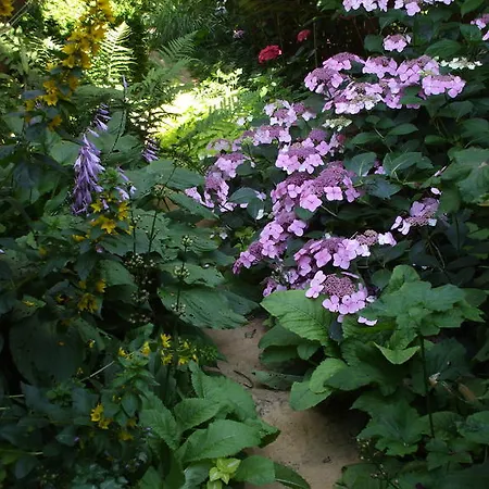 Jardin La Bourdonniere Gæstehus