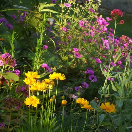 Gæstehus Jardin La Bourdonniere Réveillon