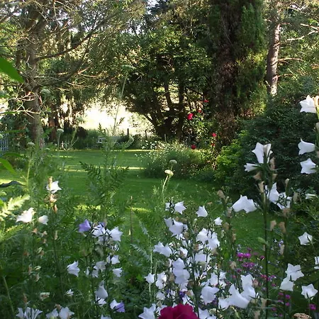 Jardin La Bourdonniere Réveillon