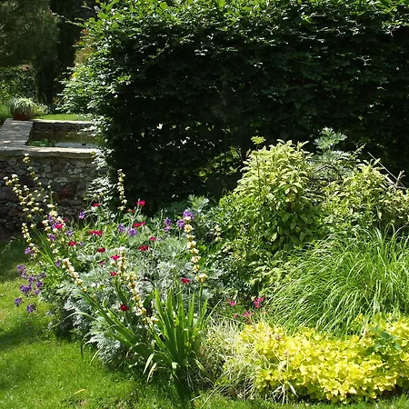 Jardin La Bourdonniere Réveillon