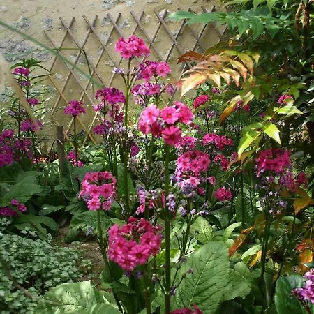Gæstehus Jardin La Bourdonniere