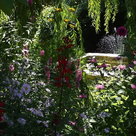Jardin La Bourdonniere Réveillon